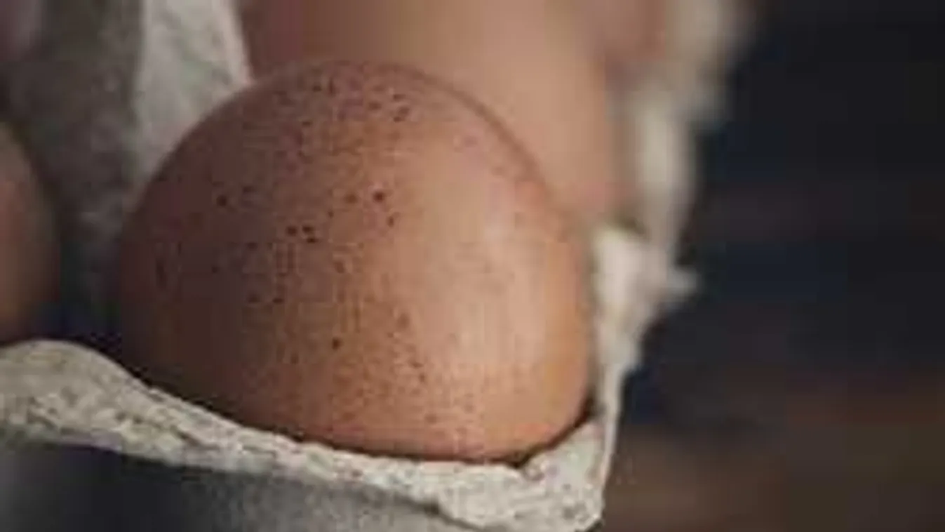 Sokkot kapott a magyar háziasszony, eszméletlen, mi bújt elő a tojásból