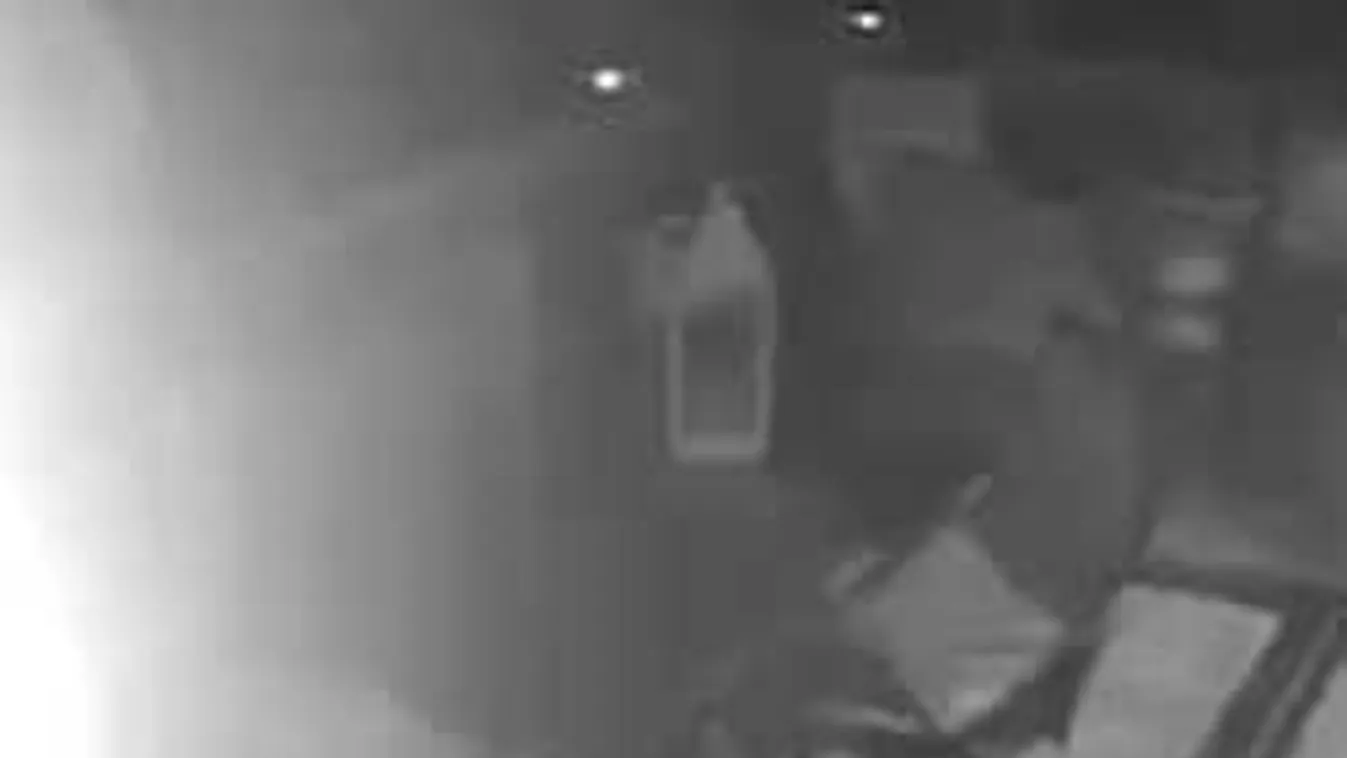 Titkos kamerát szerelt fel a teraszon a család, halálra rémültek...