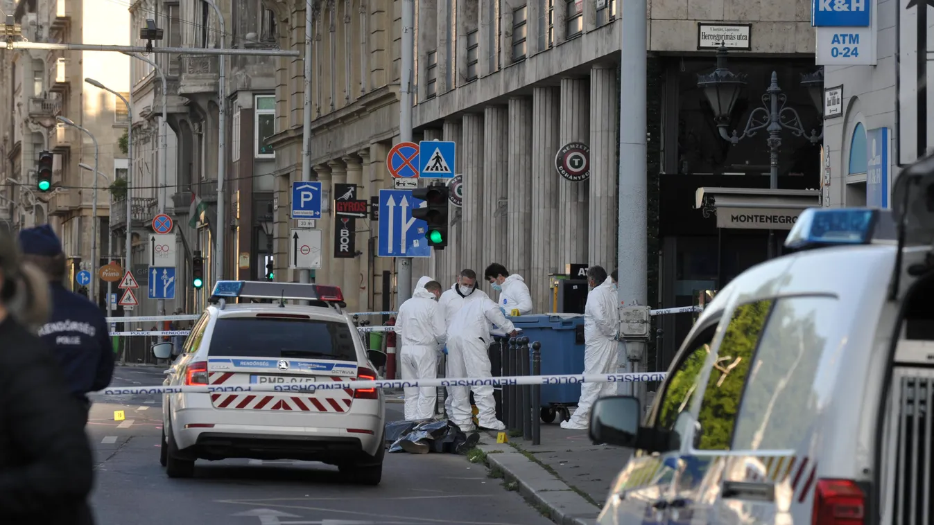 Csütörtökön lett 18 éves a Deák téri gyilkos