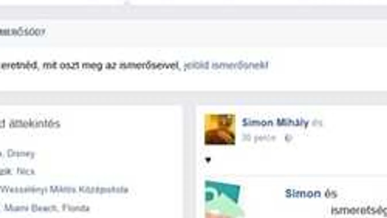 Neten lóg a késes rabló, miközben a rendőrség körözi