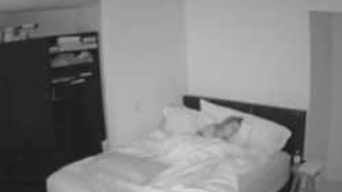 Rémálom! Meghűl az ereidben a vér, ha meglátod, mire ébredt a lány