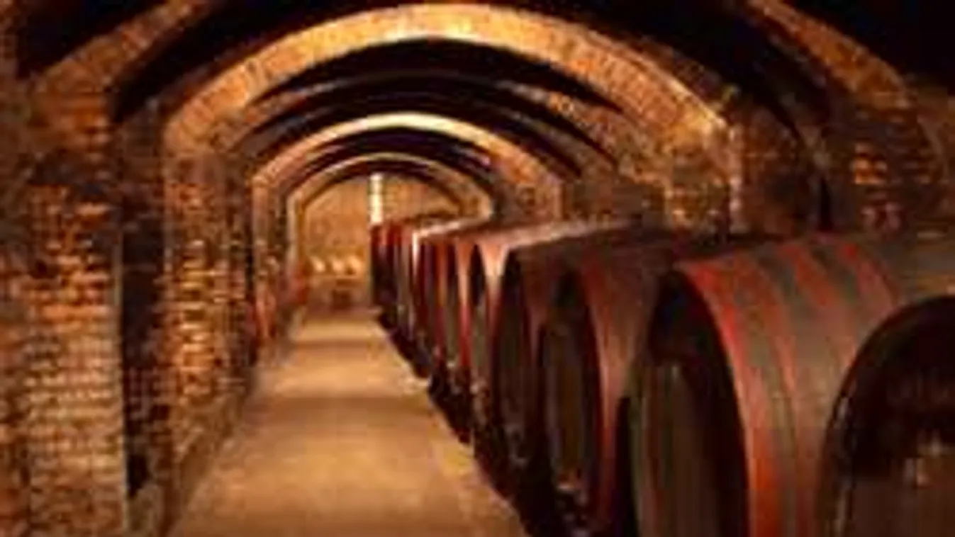 Ide menjünk a didergős hétvégén! Programok - ha esik, ha fúj!