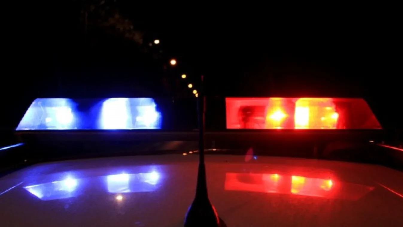 Horror: embertelen, amit édesanyja hullájával tett a pápai matektanárnő