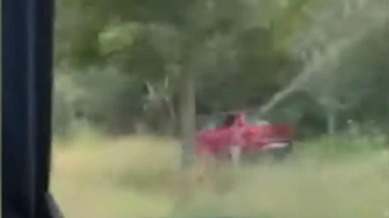 Döbbenetes: kerékpárúton száguldozott egy autós Sátoraljaújhelyen – videó