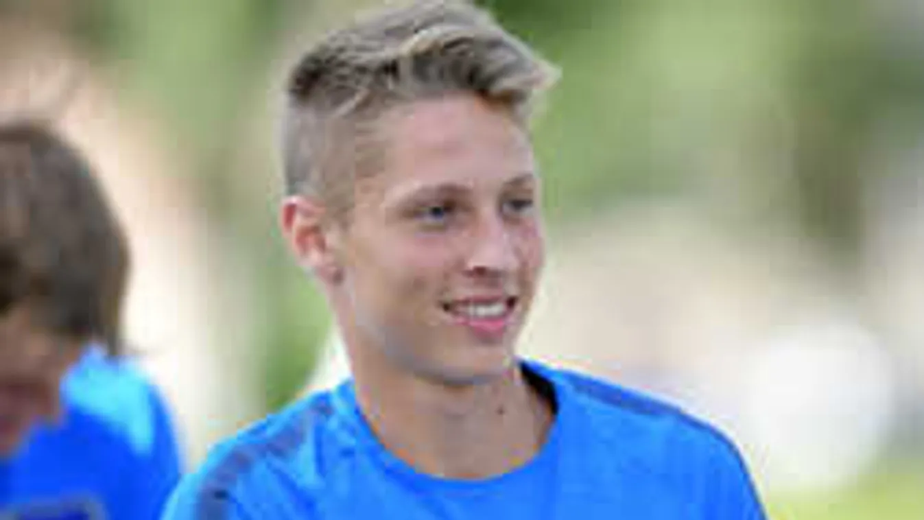 Nehezen, de döntött Dárdai fia Magyarország és Németország között