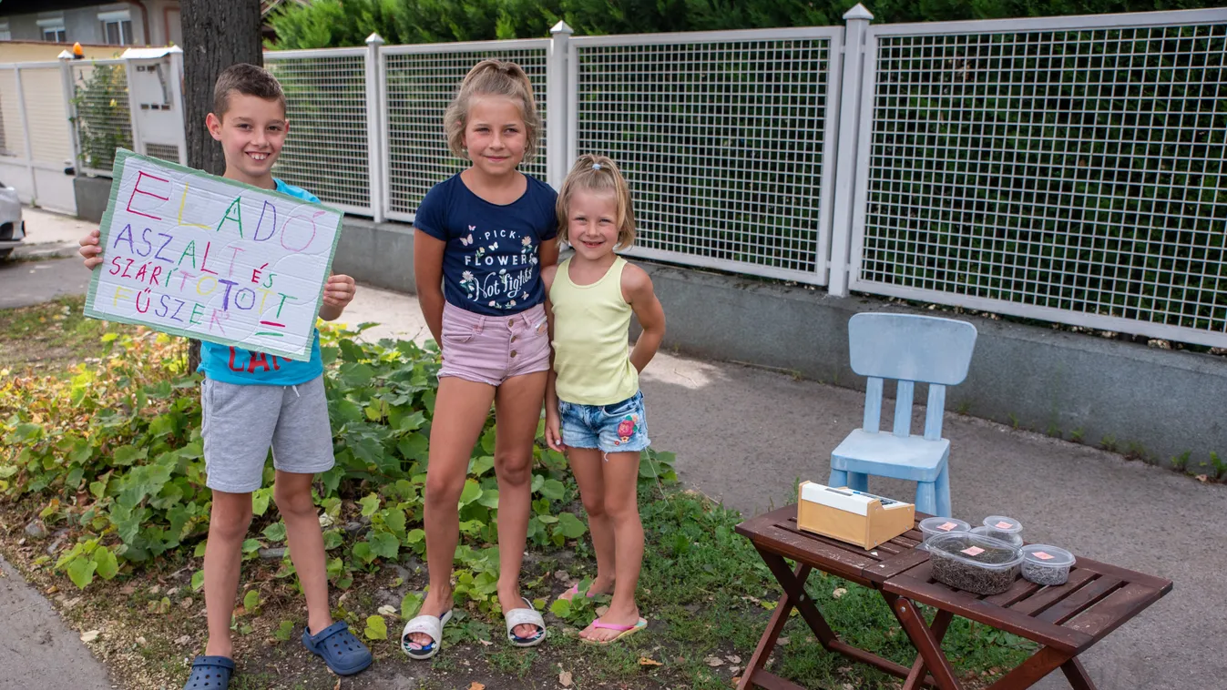 Lovat akar venni keresetéből a fűszert áruló pesti ovis