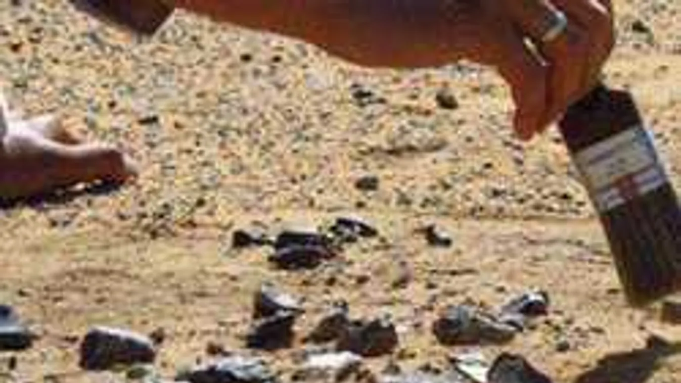 Egészen hihetetlen, mi került elő egy szegedi család telkén - fotók