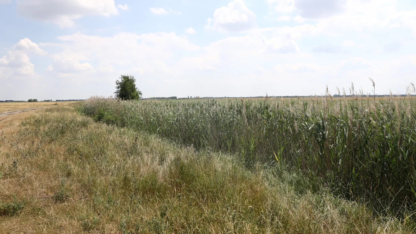 Sírva ölelték át szülei a 9 éves Imikét: játék közben érte a halálos baleset