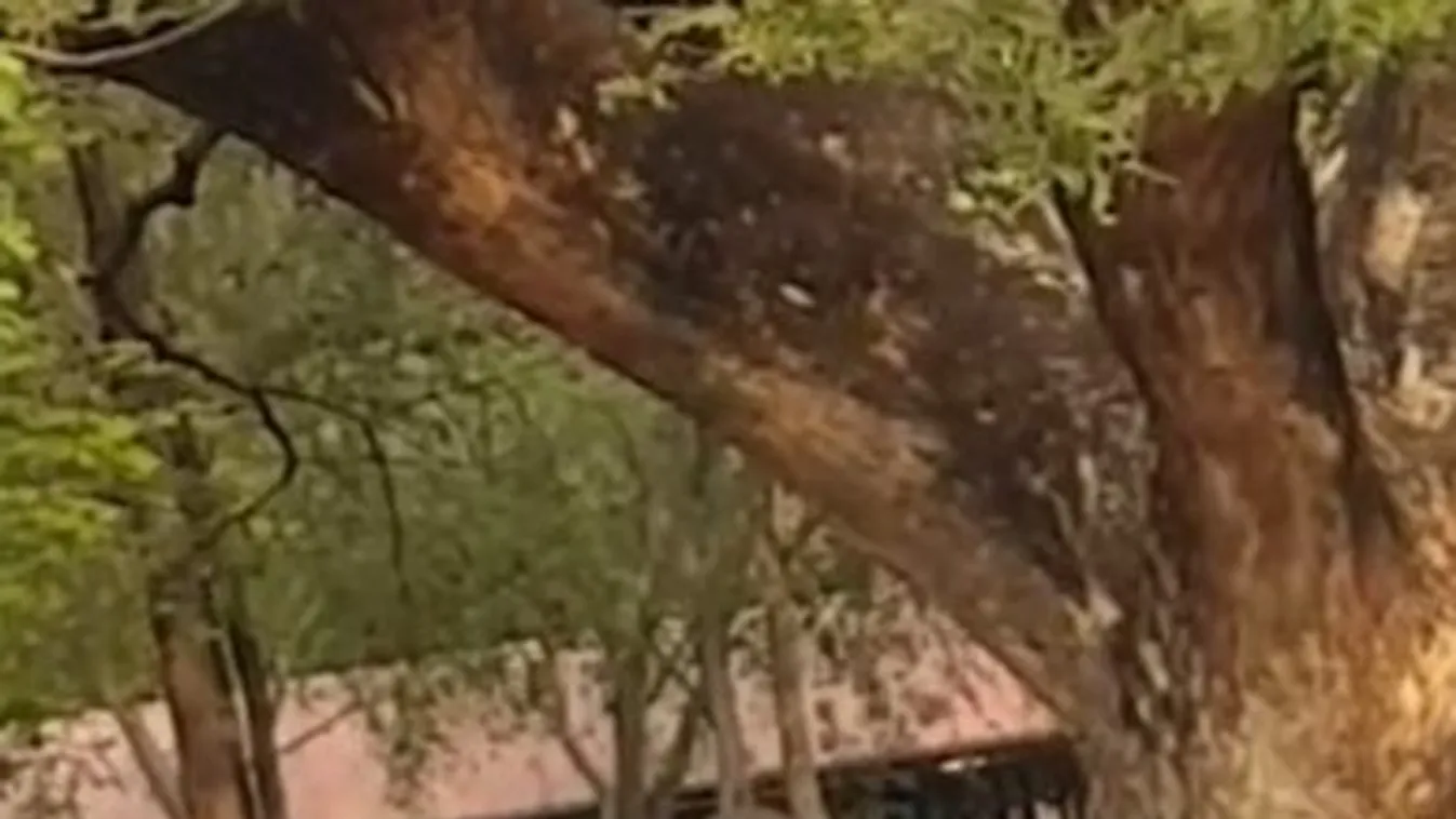 Bangkok nyilvános szex