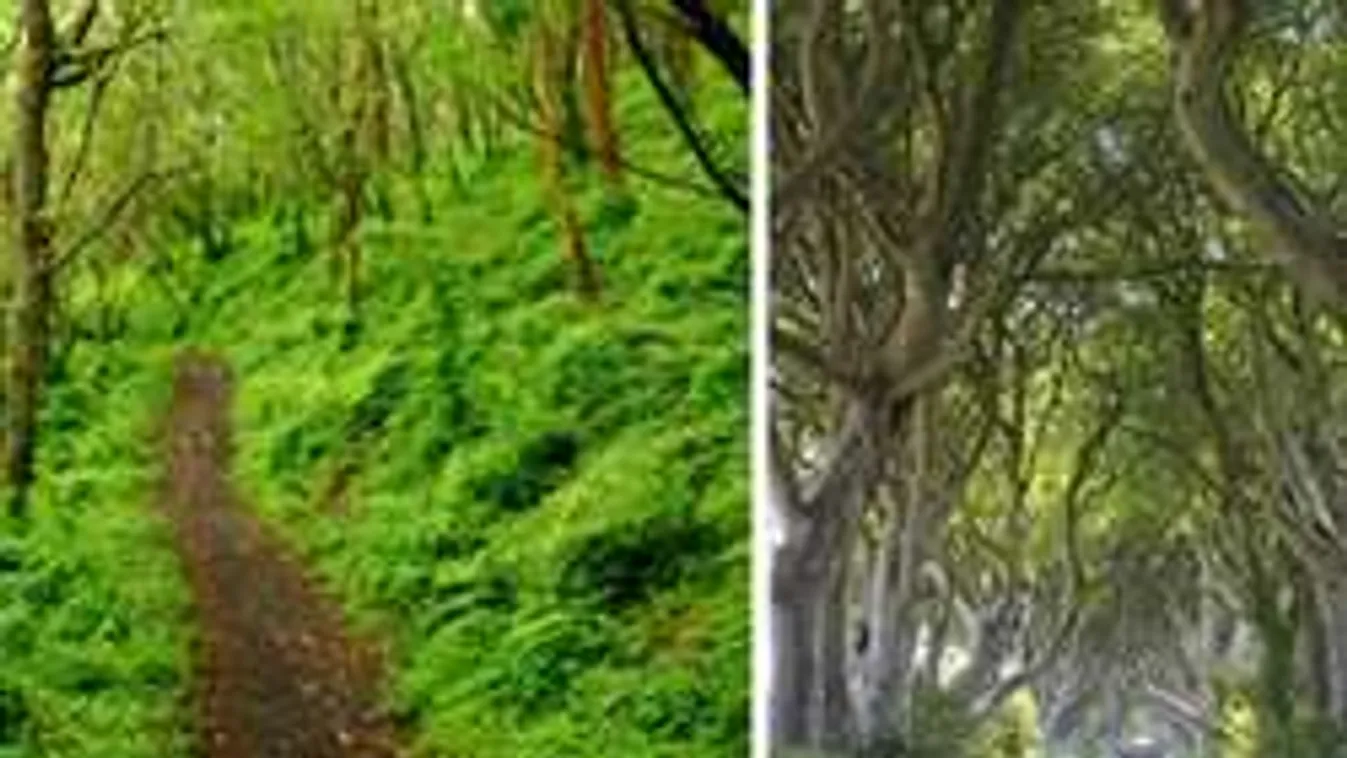 Szeretnéd tudni, merre tart valójában az életed? Nézd meg ezt a képet!