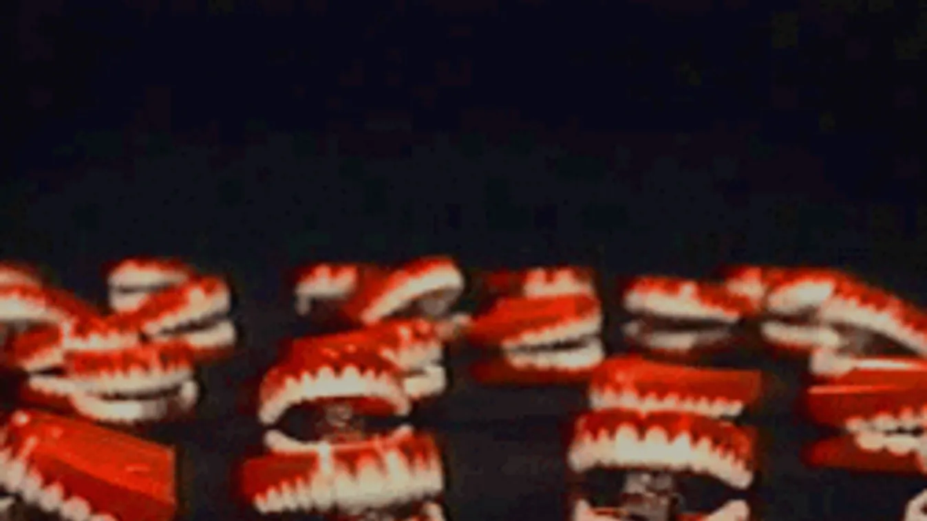 Ez durva: több ezer kiló emberi fogat húznak ki idén az orvosok