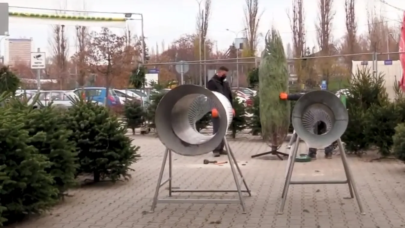 Ezt a fenyőt viszik haza a legtöbben karácsonyra – videó