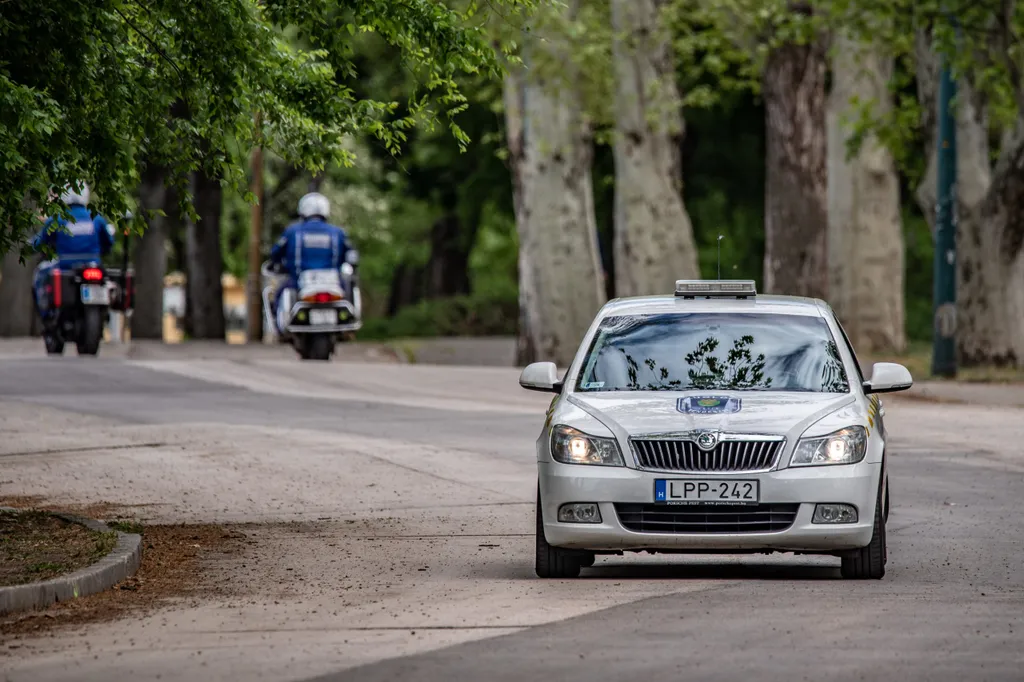 20200501_budapest_korona_majus1_varosliget_SULY_Ripost_15