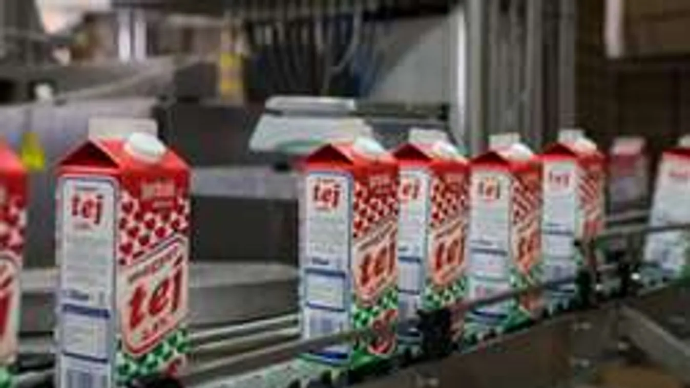 Olcsóbb a tej, a túró, a tejföl és a sajt. Tudod, hogy miért?