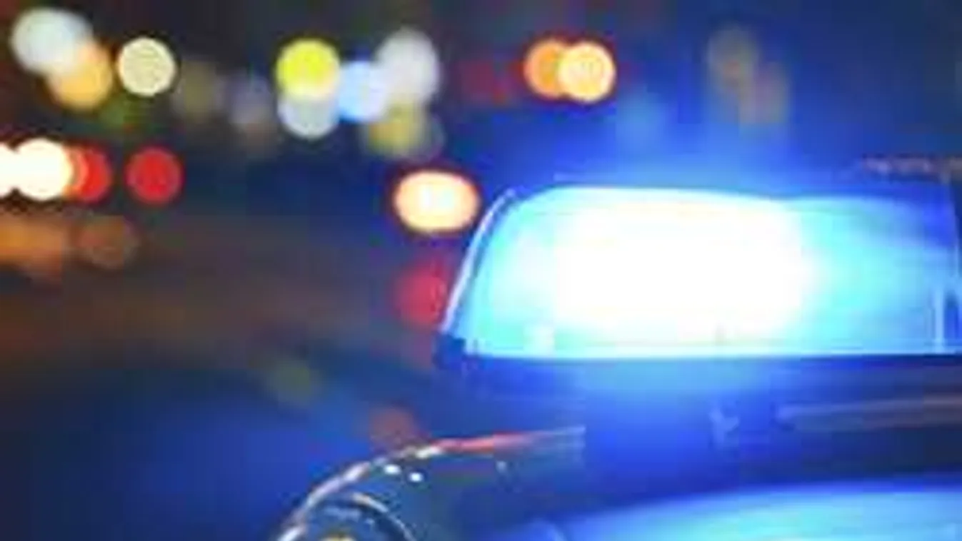 Sokkoló részletek: előkerült a 18 éves gyilkos migráns titkos aktája