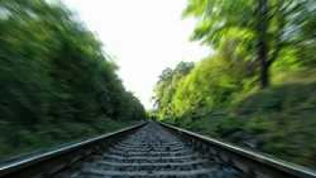 Súlyos baleset a síneken: egy embert ki kellett vágni a roncsok közül