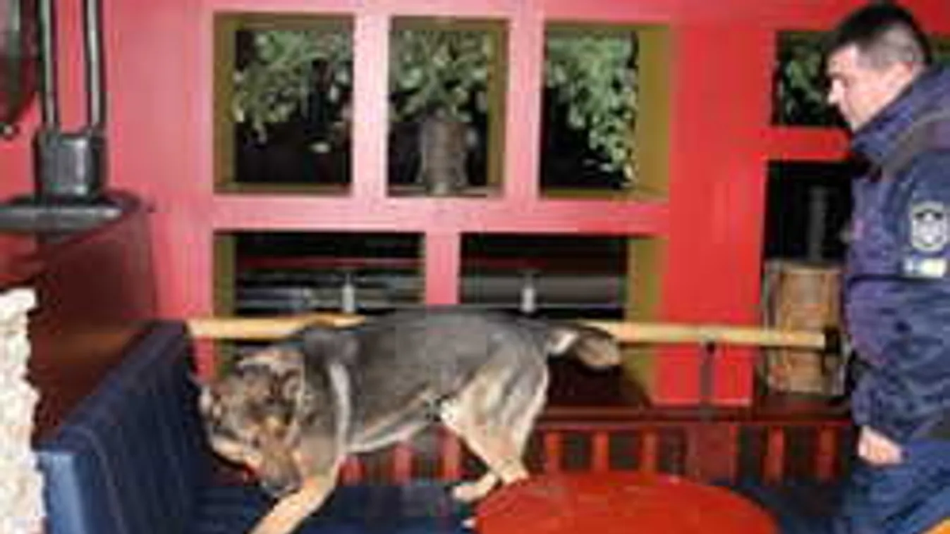 Diszkóba vitték a rendőrkutyákat a járőrök - Videó