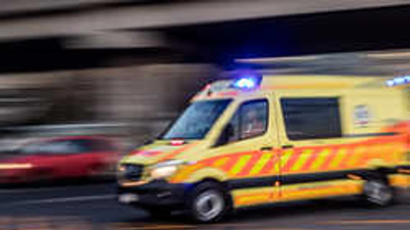 Vérben úszott a daráló, amikor hajánál fogva beszippantotta a nőt