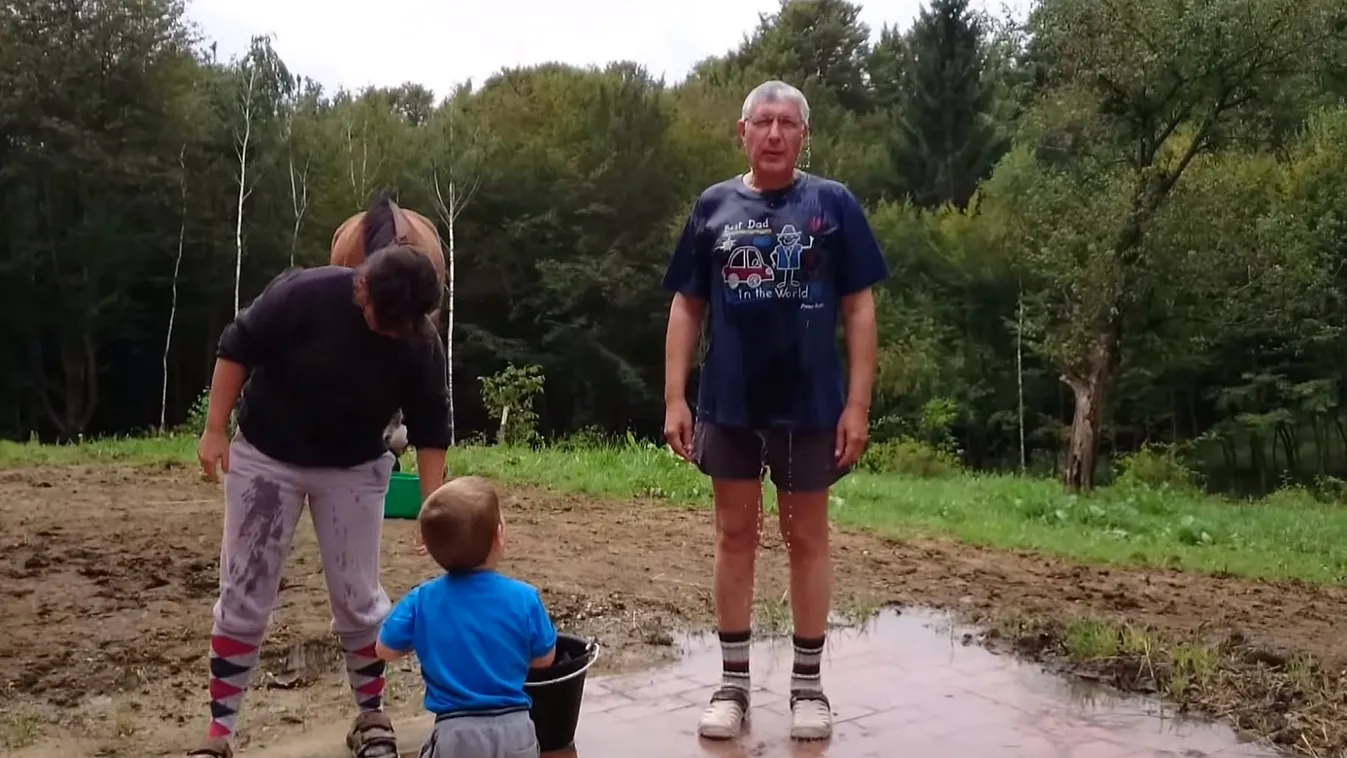 Helyreigazítás: dr. Falus Ferencről valótlanságokat állítottunk