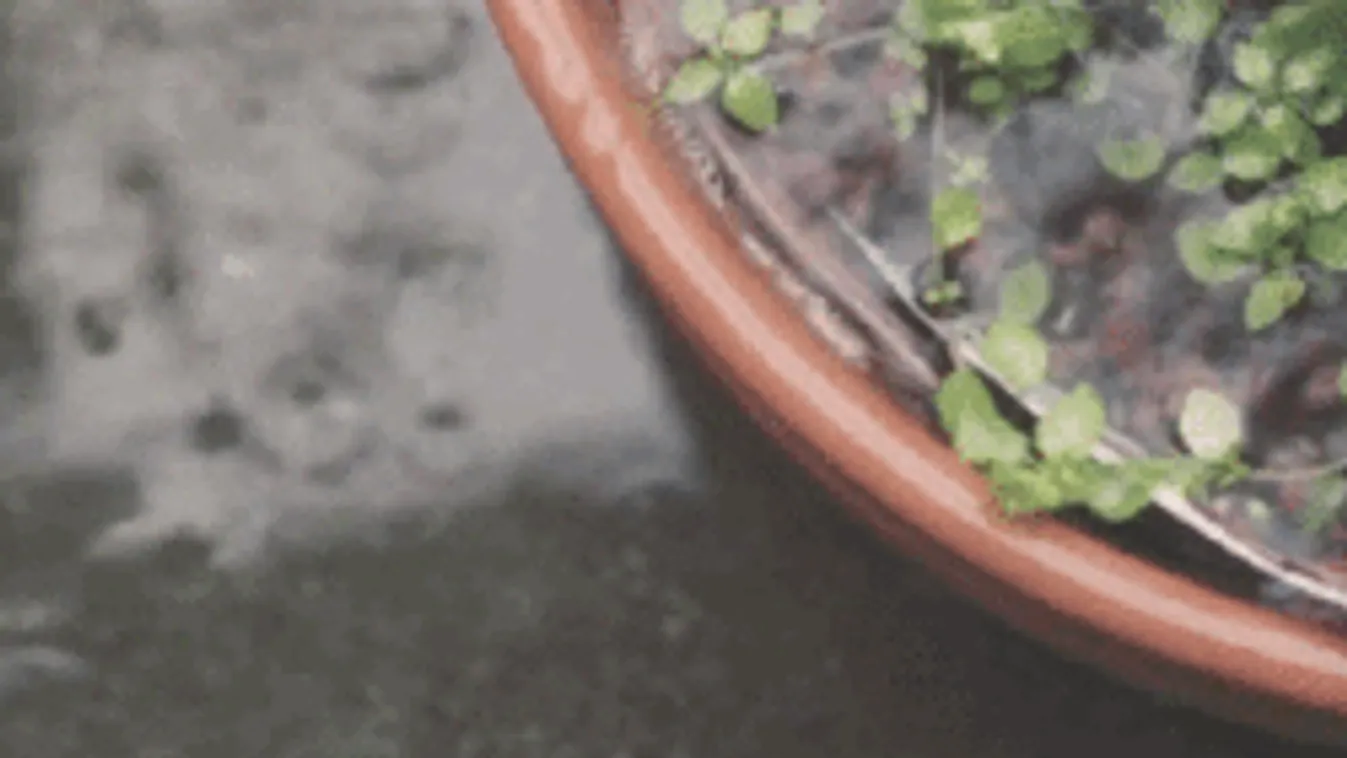 Durva vihar közelít az ország felé, a legtöbb megye vészjelzést kapott