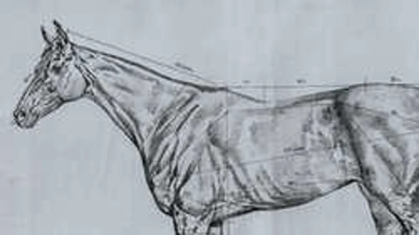 Klónozás vagy vérvonalkutatás? Vissza akarjuk kapni Kincsemet!