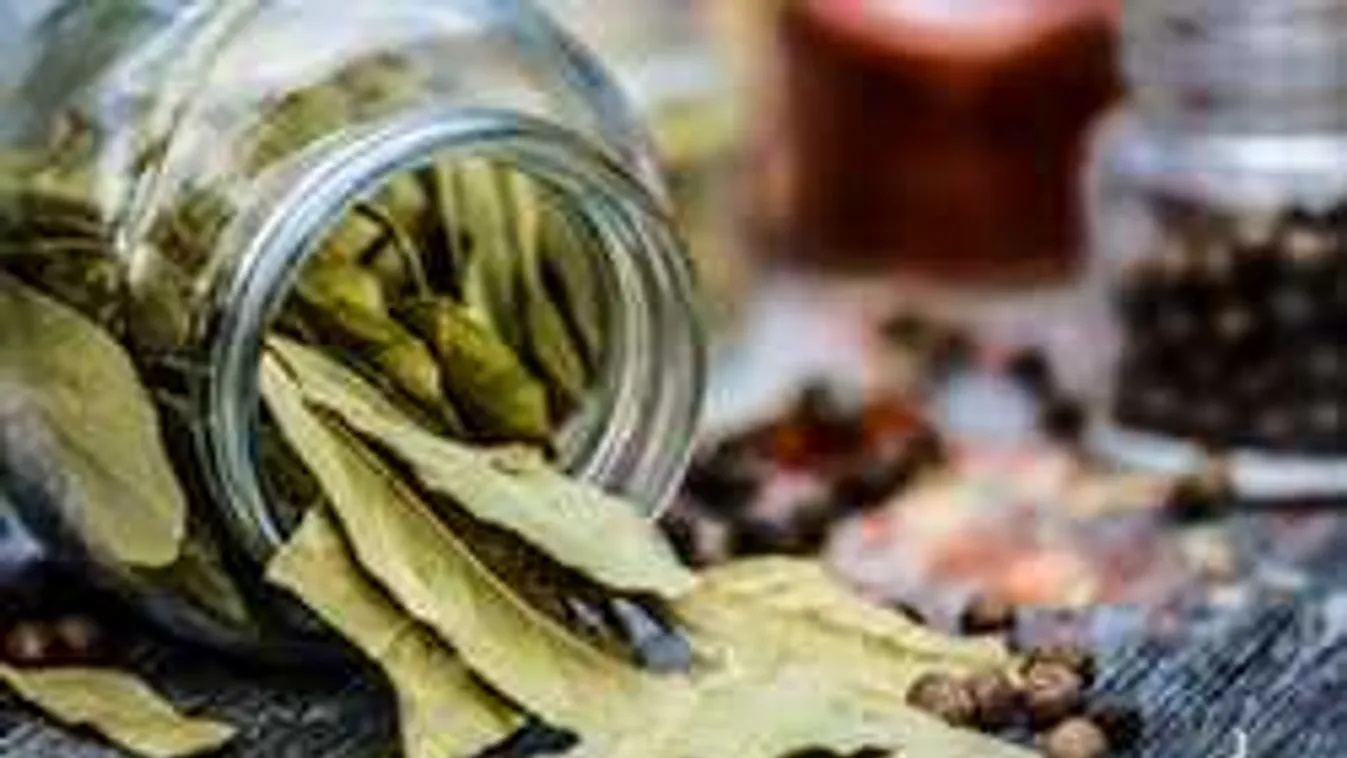 Nem is gondolnád, mennyi mindenre jó a babérlevél