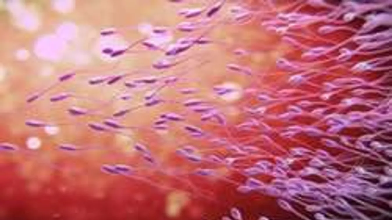 Tudósok állítják: mesterséges spermával, férfi nélkül is "előállítható" a gyerek