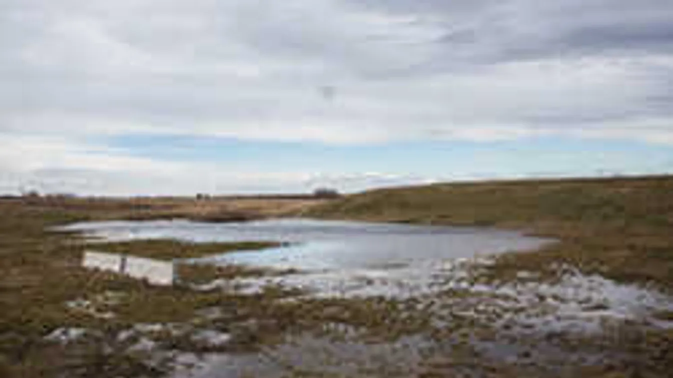 Készültség Békés megyében: tovább romlik a belvízhelyzet