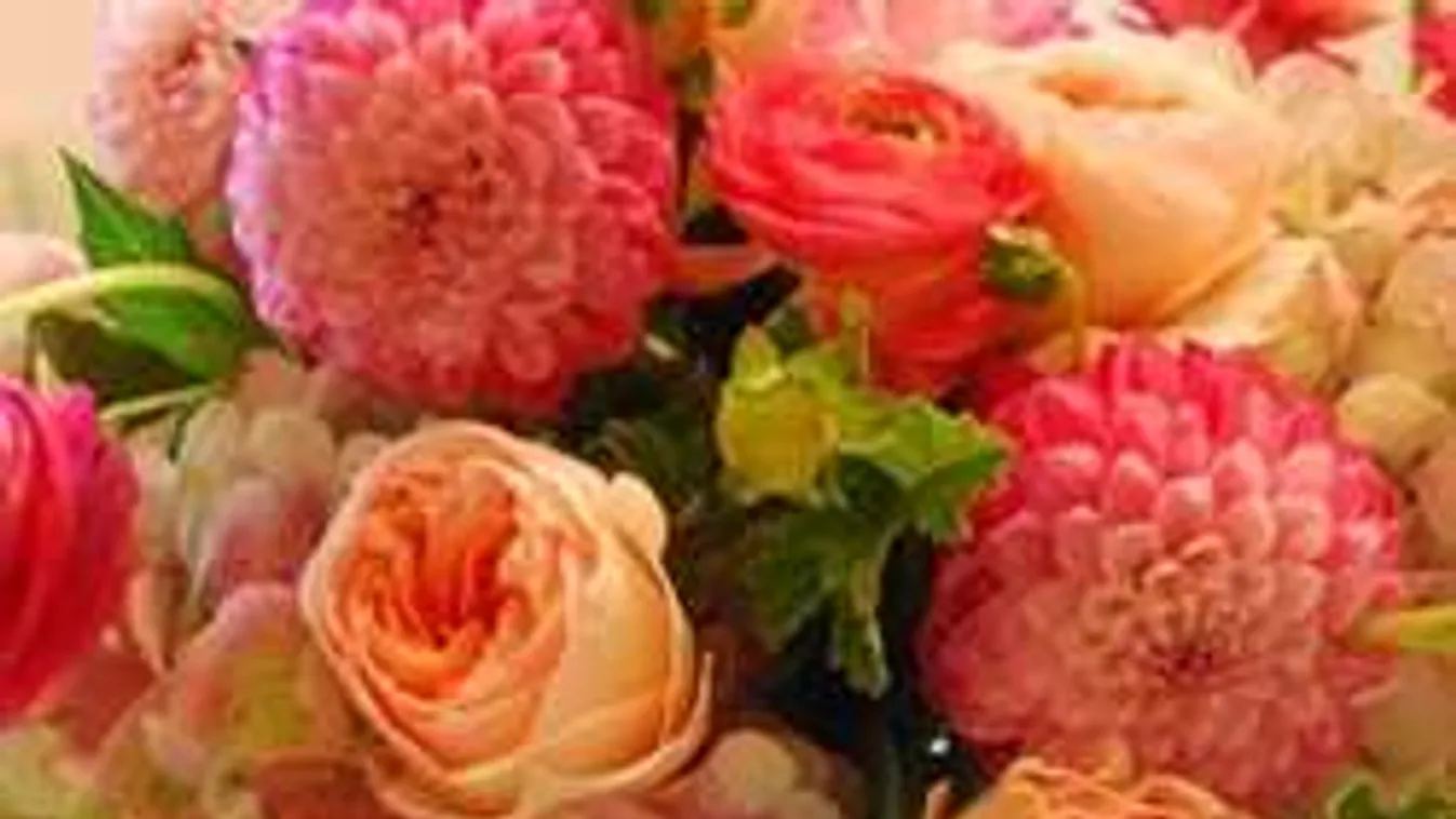 Valentin-napi szupertipp: így lesz sokáig friss a vágott virág