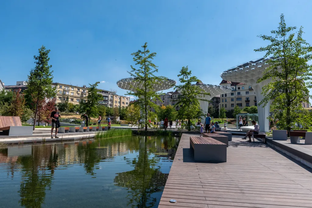 20200821_szellpark_SULY_ripost_24