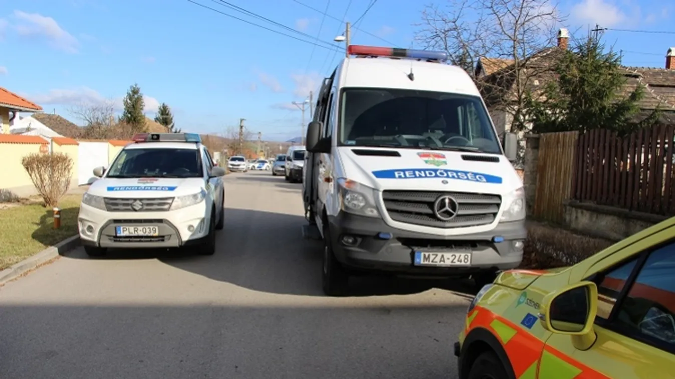 Tatabányai családirtás: mélyaltatásban tartják az édesanyát