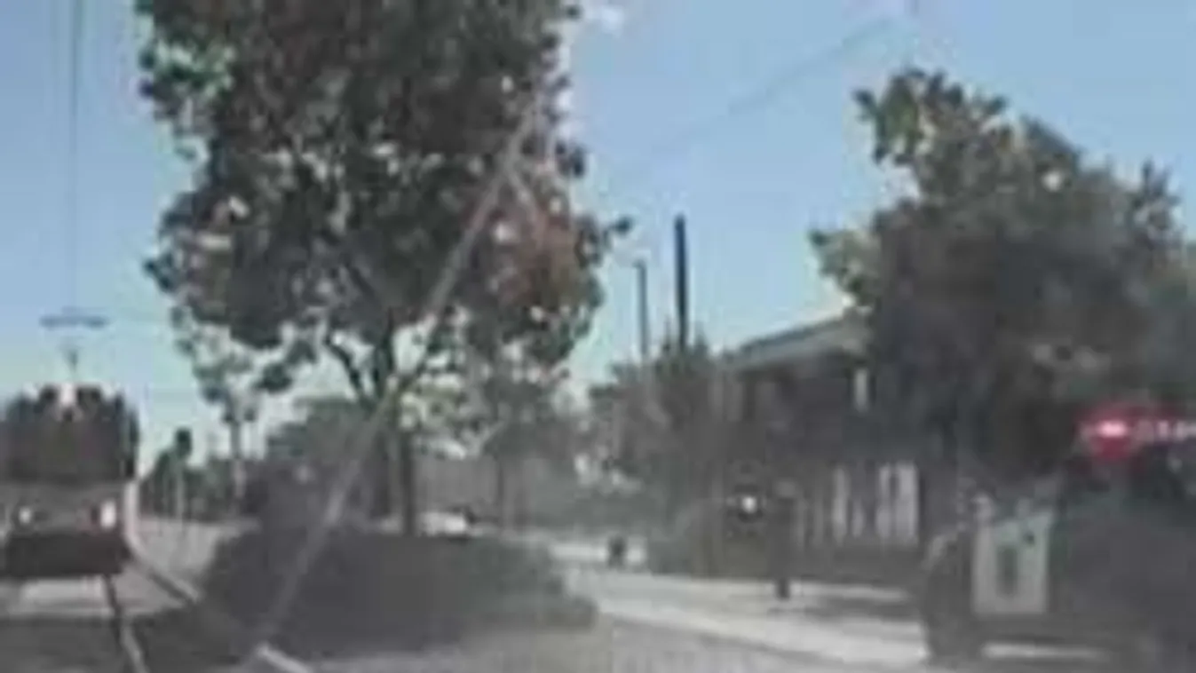 Nem tudták elütni a hajléktalant, hát szitává lőtték