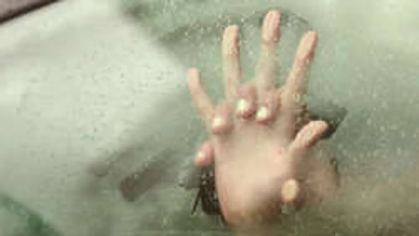 Kivetítőn, élőben nézték a kocsmában, ahogy a parkolóban szexelnek