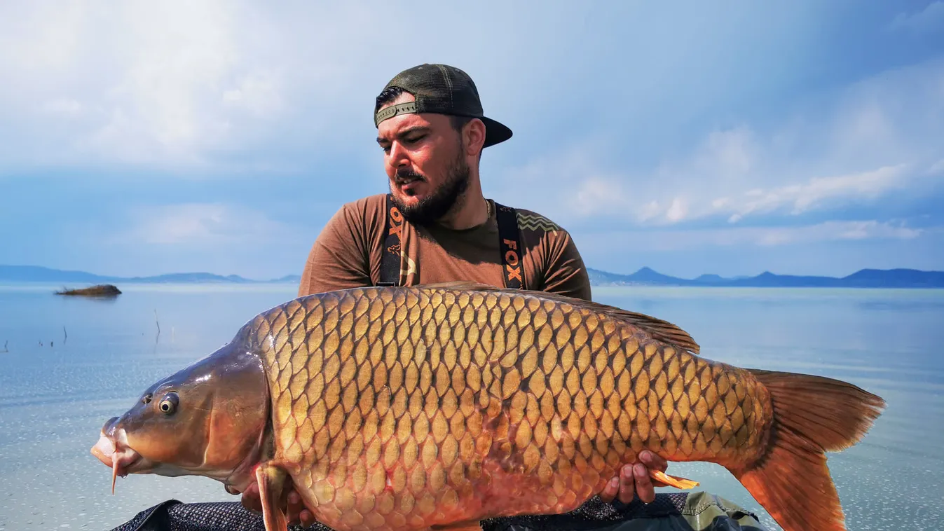 Hatalmas halszörnyet fogtak ki a Balatonból, egy kisebb falu jól lakhat vele