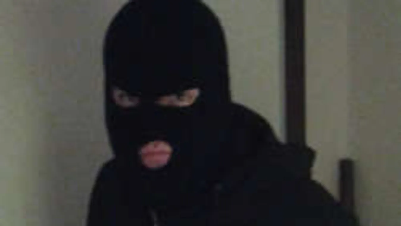 Símaszkban gyilkolt a hetedikes fiatal!