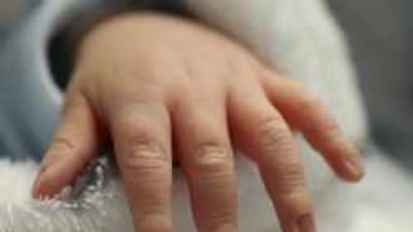 Valóságos csoda történt, életéért küzd az anyja hasából kivágott baba