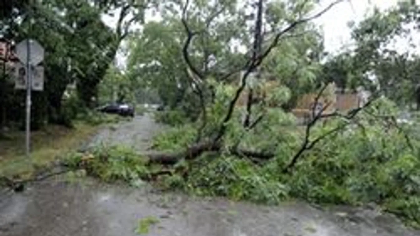 Megbénult a tömegközlekedés Budapesten - ezeket a járatokat ne keresd!