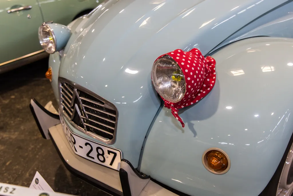 20210829_Budapest_AMTS_KM_RP_18