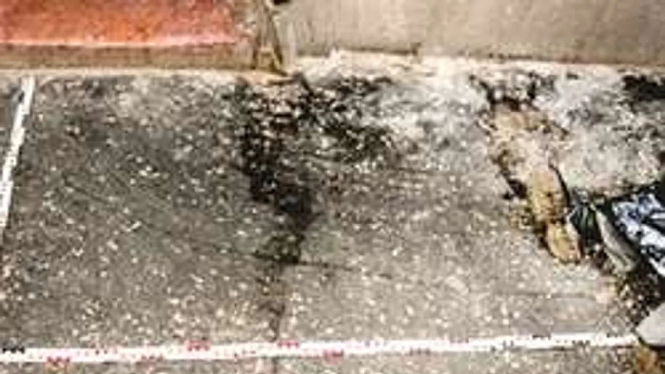 Elkábíthatta holtan talált kuncsaftját a ferencvárosi prosti