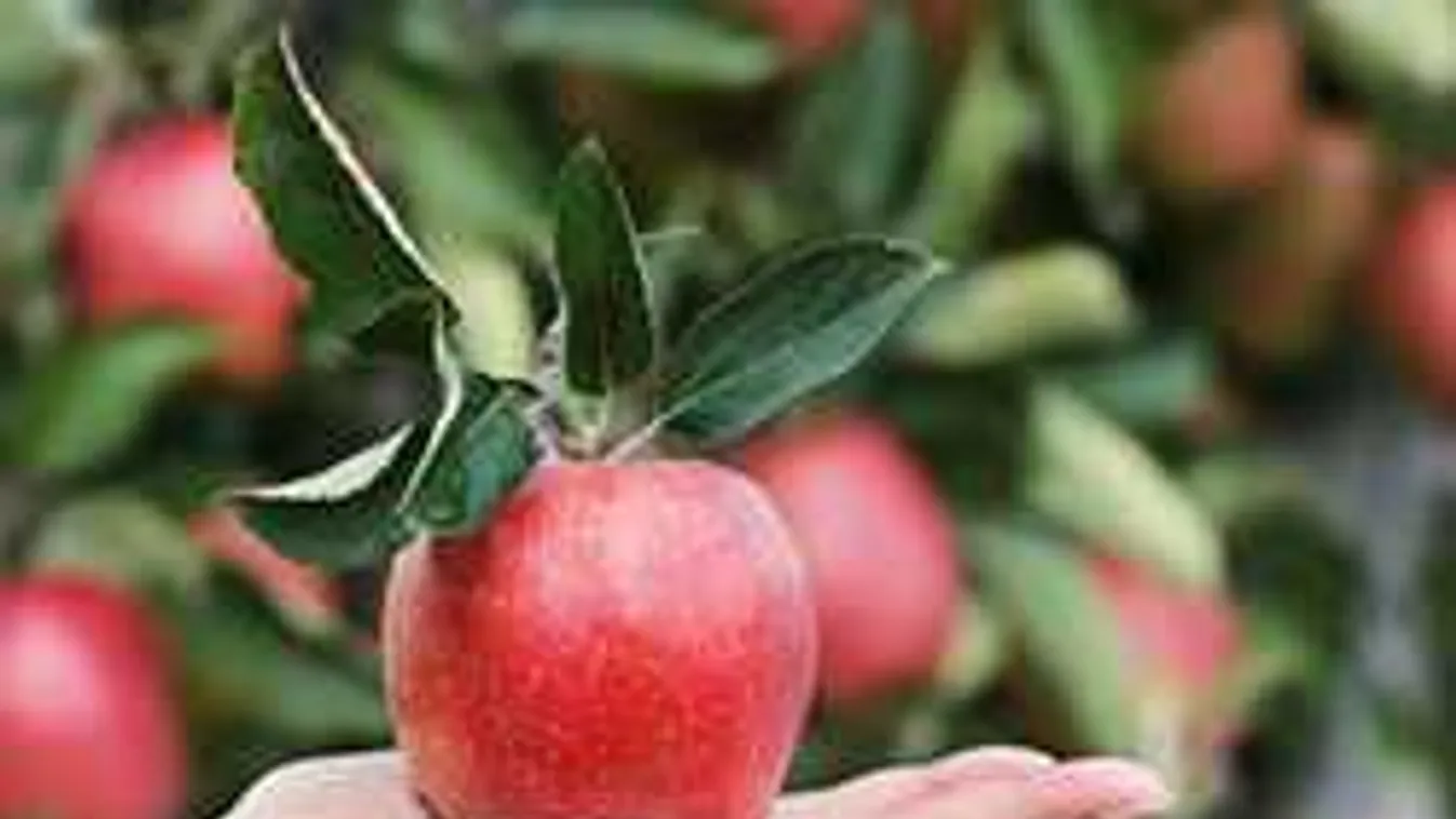 Ezt kell tenned, hogy bevonzzad a szerencsét az életedbe