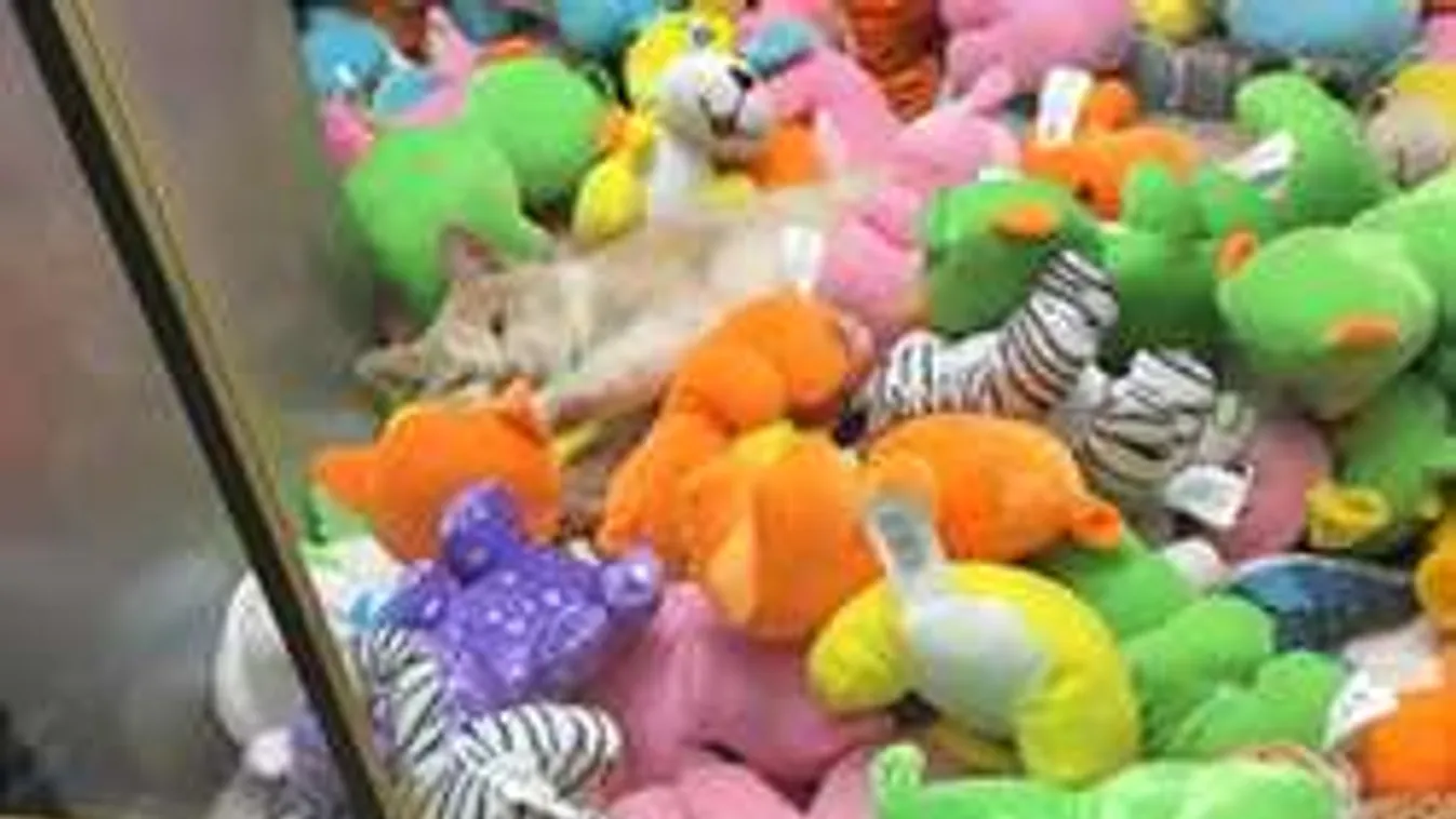 El nem hinnéd, mi lapult a plüssautomatában!