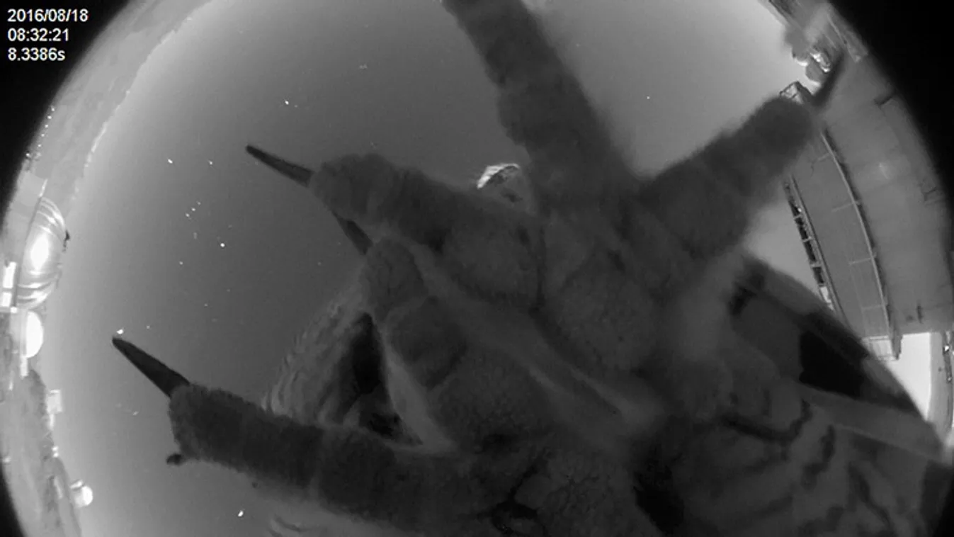 A csillagászok is meglepődtek: az űr helyett ezt látták a teleszkópon