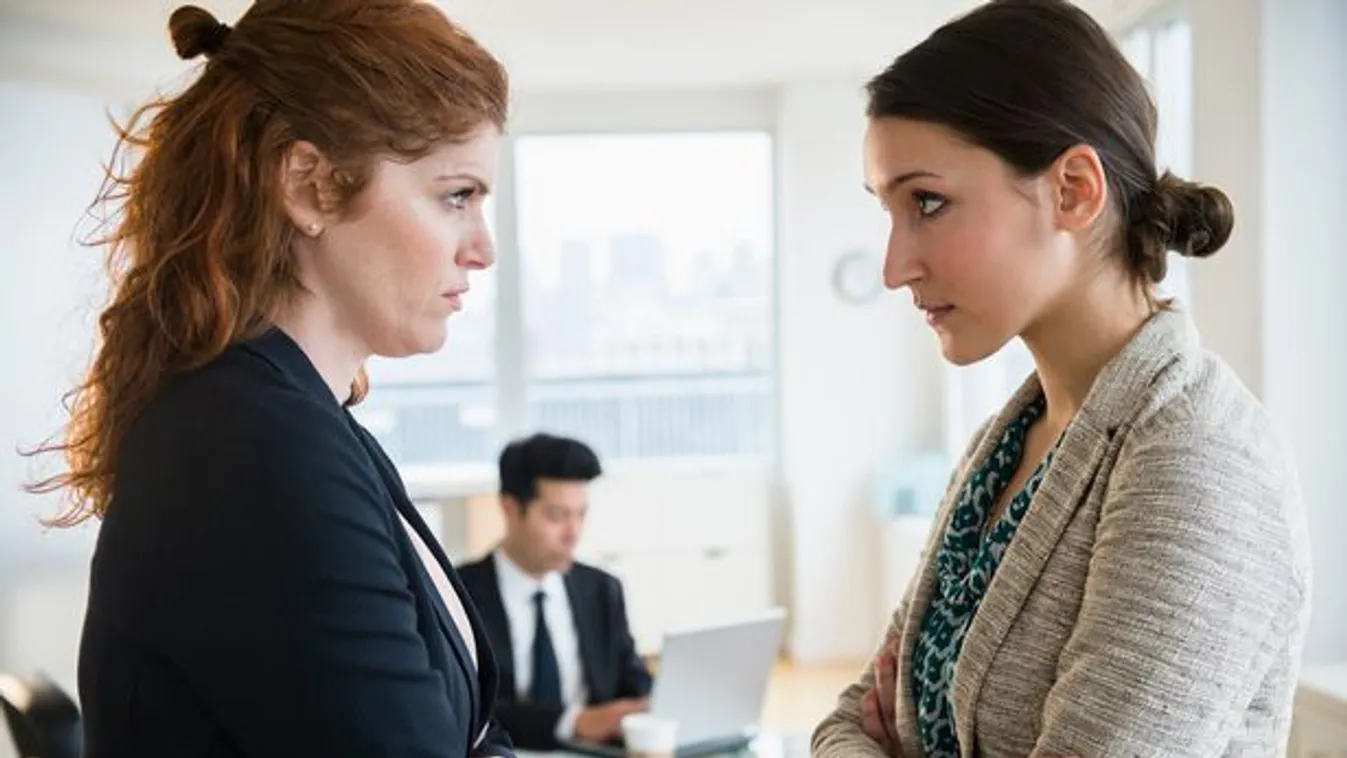 Véres dráma az irodában – ez történt a kicsi kutyával