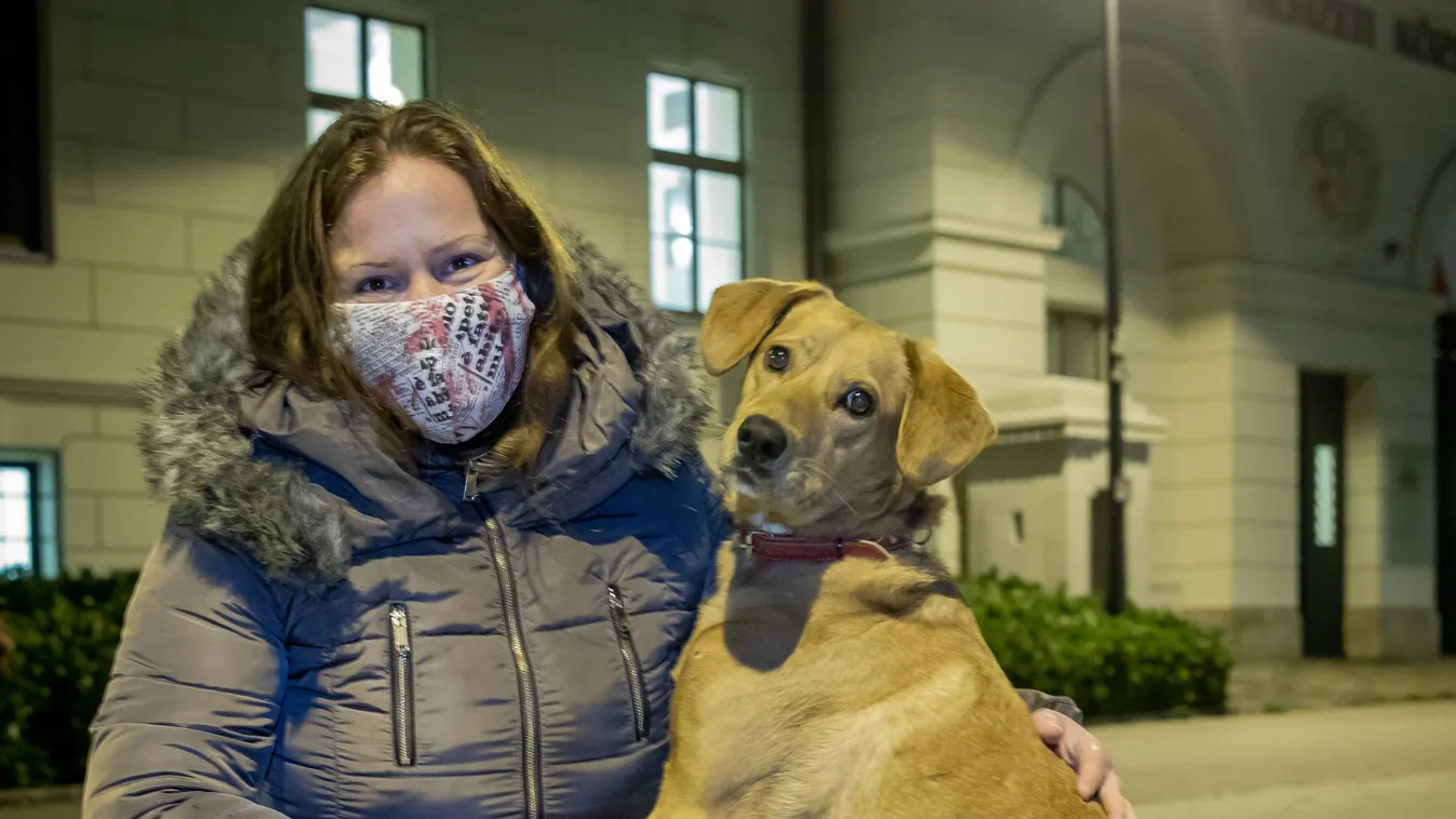Ez történik este 8 óra után Budapesten a kutyásokkal