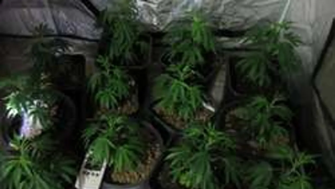 Brutális drogfogás Budapesten