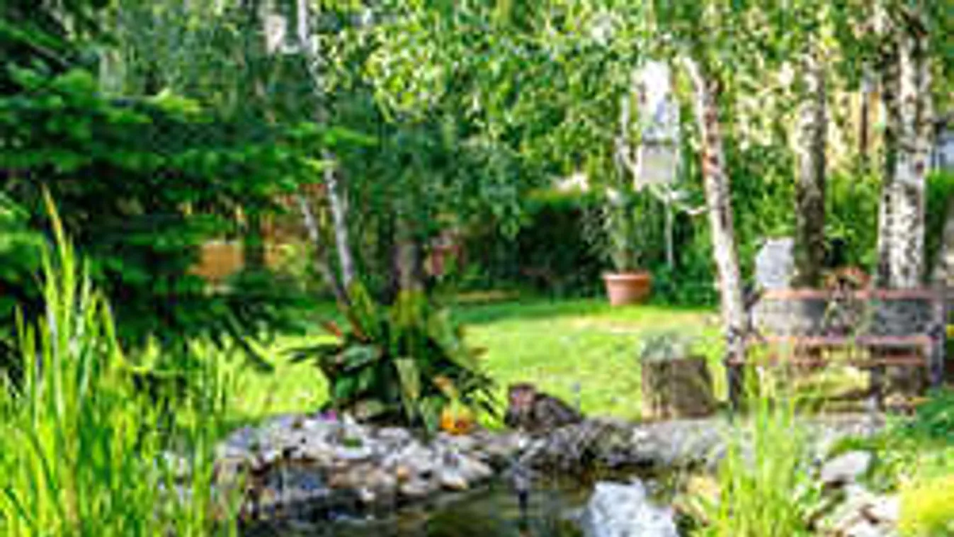 Micsoda ötlet! Így építs a kertedbe olcsó kis tavat