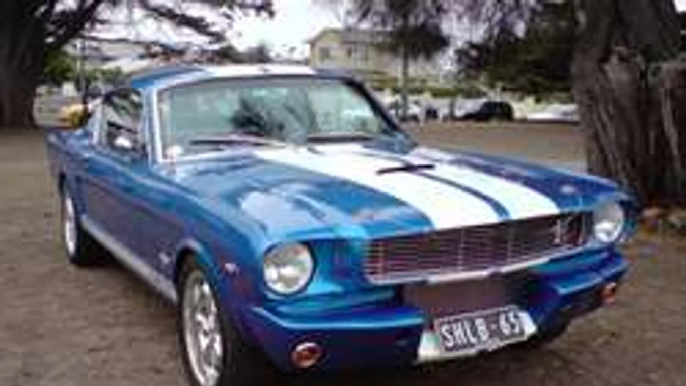 Gyorshajtás miatt maradt el az orgia