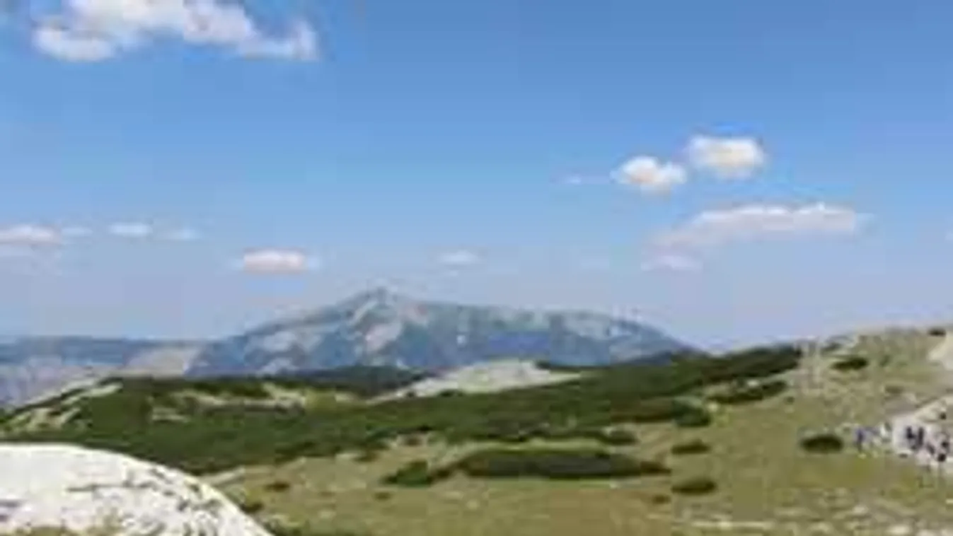 Most jött a hír: tragikusan fiatalon hunyt el a magyar sportember