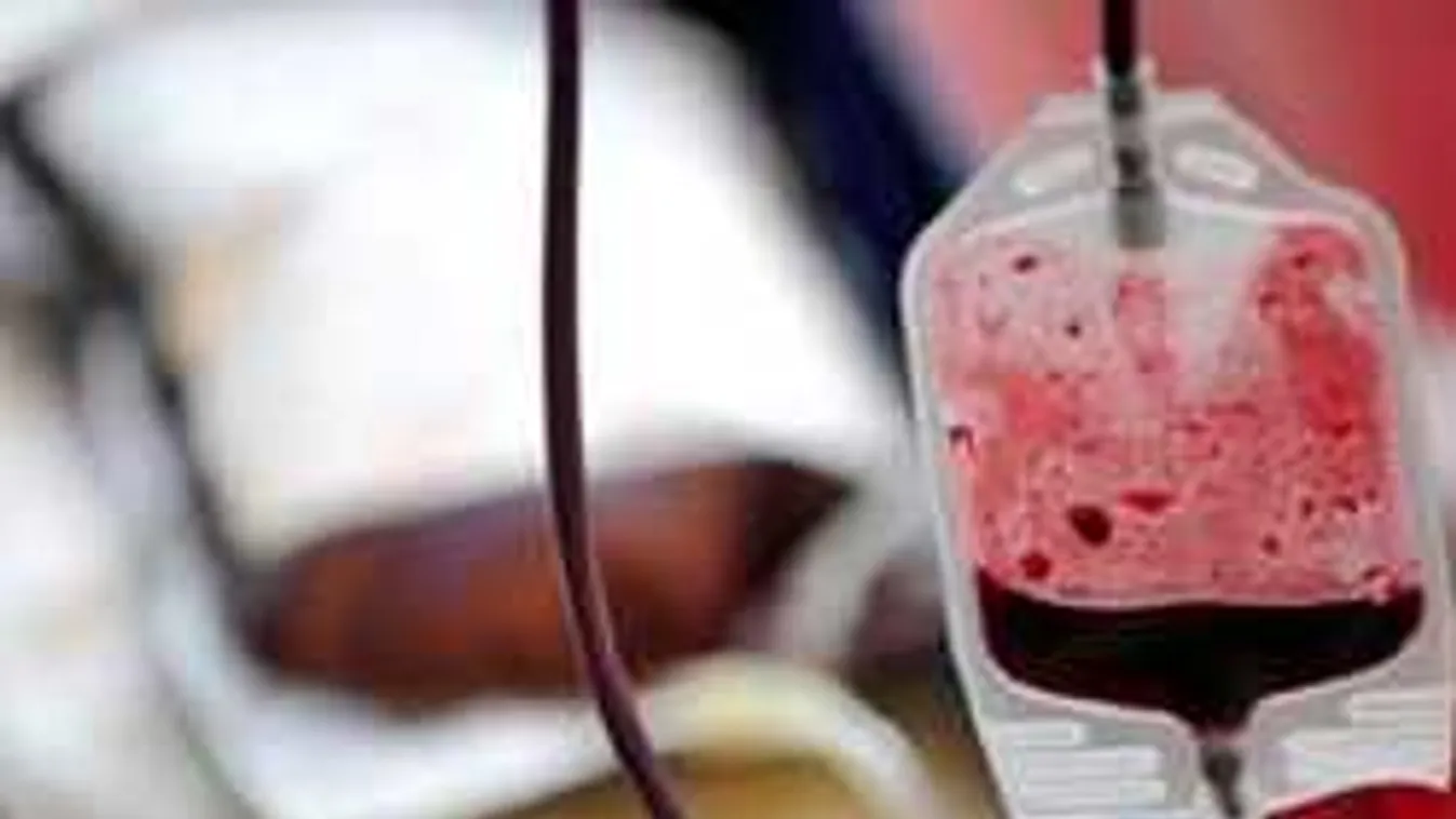 Nem bírja a német vért egyes migránsok szervezete