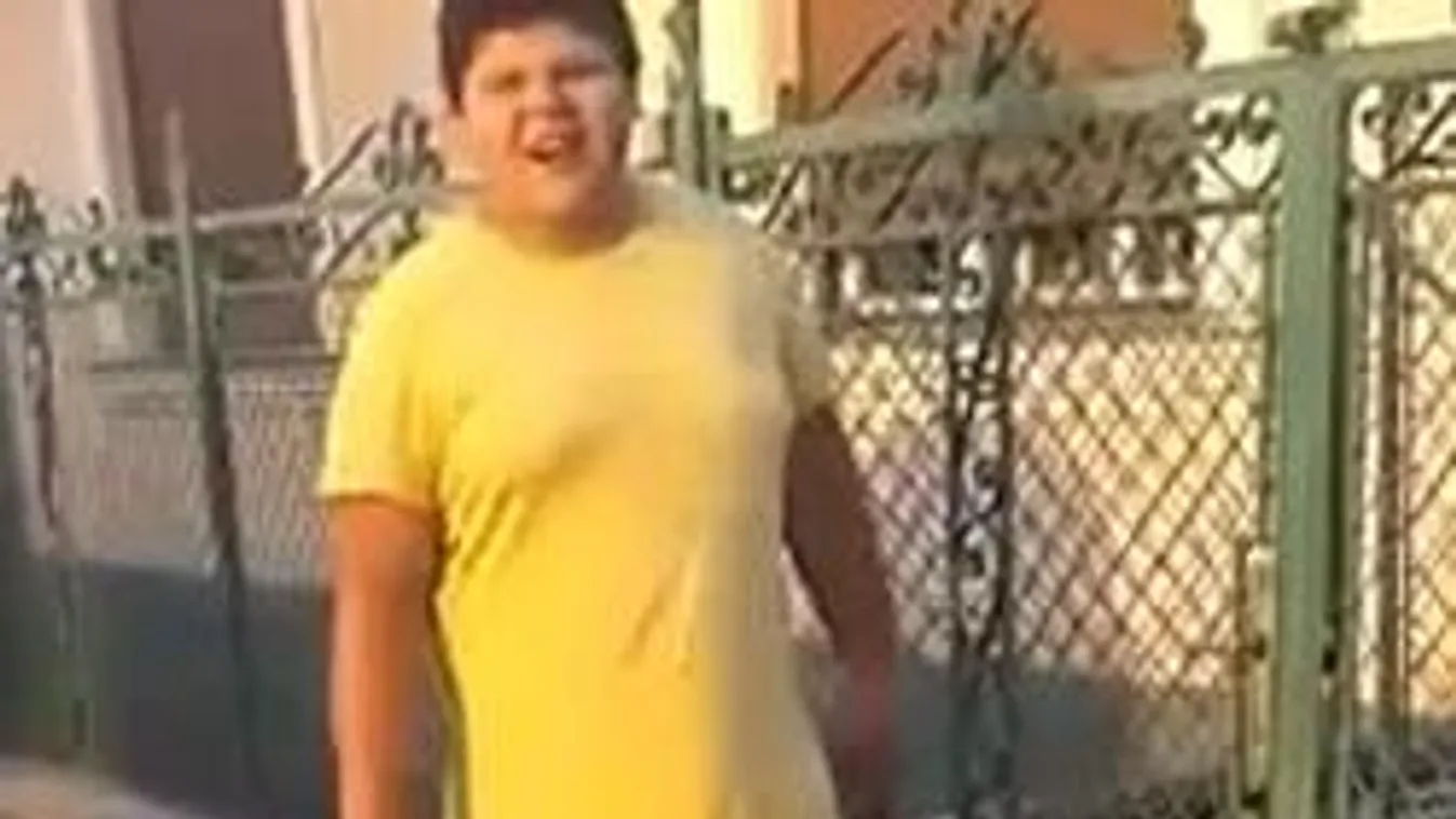 Bözsi néni tyúkja tarol a neten!